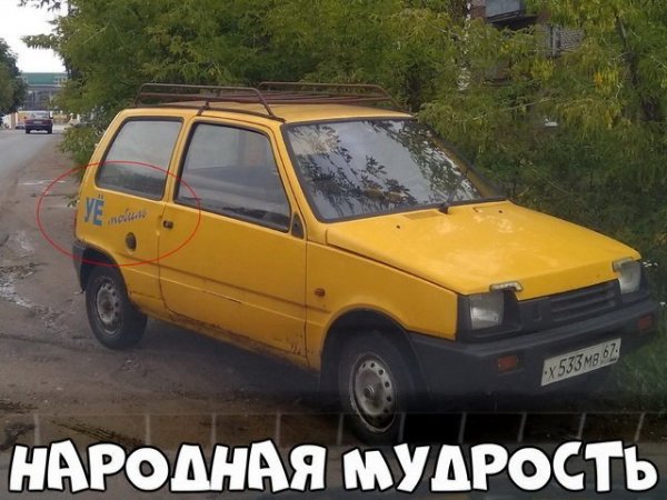 Прикольные картинки обо всем