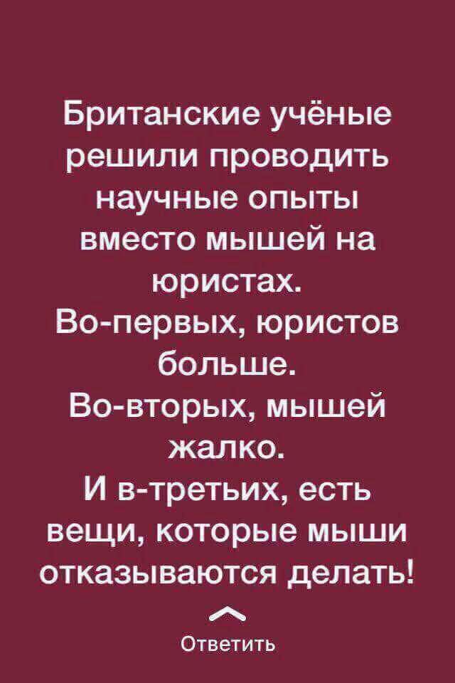 Немного картинок в этот четверг