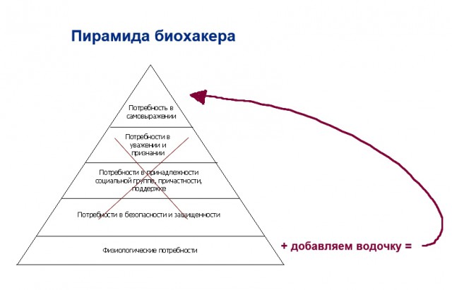 Алкаши - это биохакеры. Или почему люди бухают...