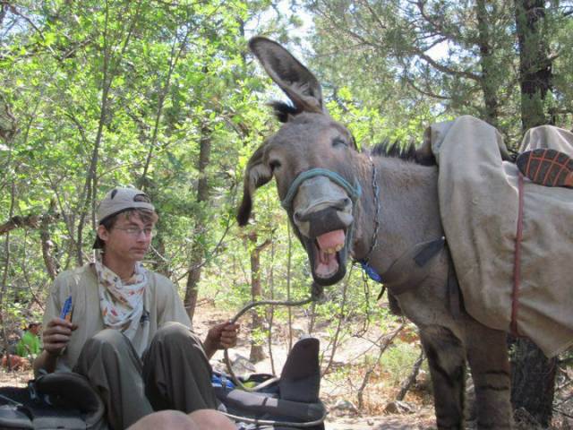 Не самый лучший день