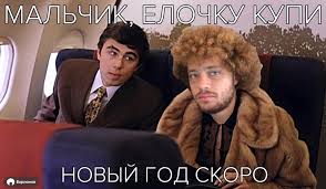 Уралец закупил элитные новогодние ёлки у Варламова на 1,5 миллиона, но они оказались никому не нужны