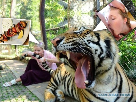 Мой хвоооост!