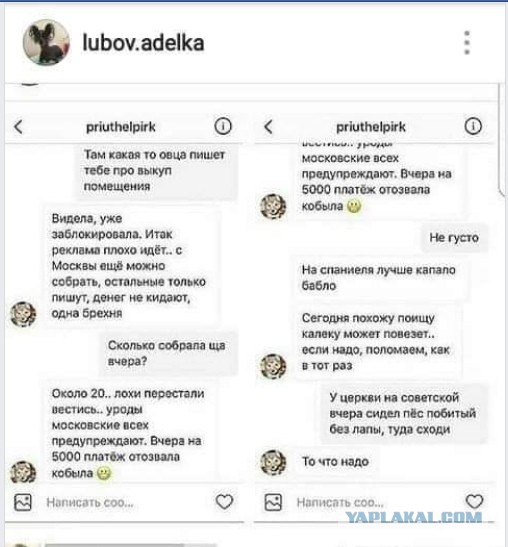Почему люди не любят зоо(защитников)шизу?