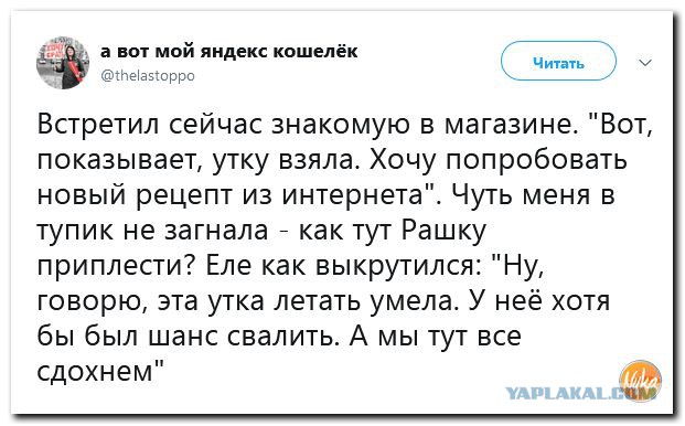 Die Welt: Германия — страна, где ничего не работает