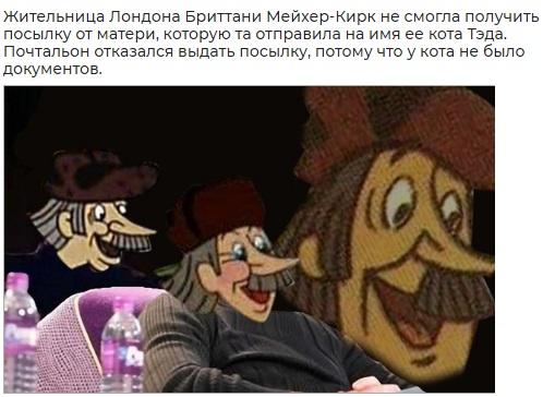 Немного картинок для настроения 23.12.19