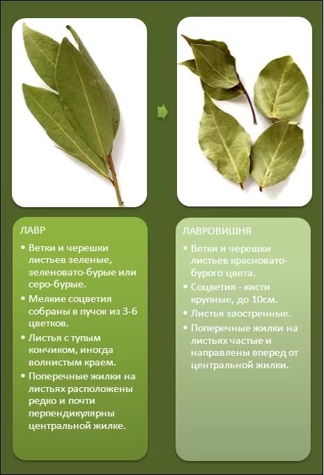 7 бесполезных продуктов в Пятерочке, которые стоят дороже икры, но люди этого не замечают