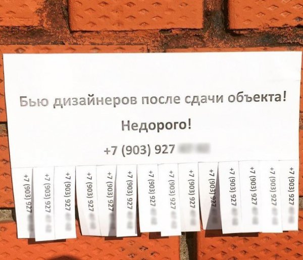 Мужчины умнеют. Женщины негодуют
