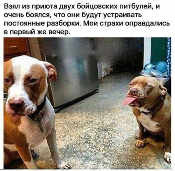 Пара-пара-пам! Фьють!
