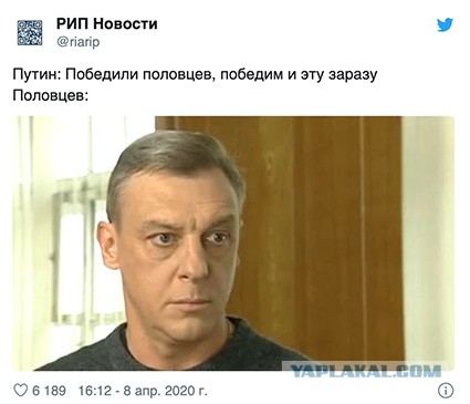 Печенеги, Путин, Плевако и плагиат.