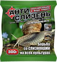 Дочь завела улиток... Ахатина