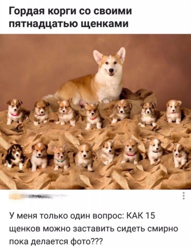 Так себе картинки 31.05.2020