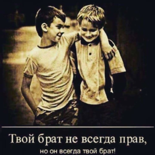Я и мой брат делил