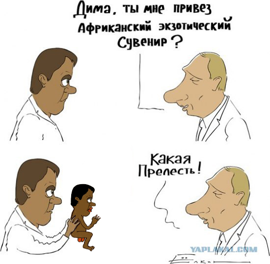 Экзотический сувенир