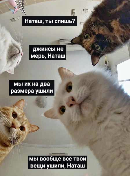 Мемы про Наташу