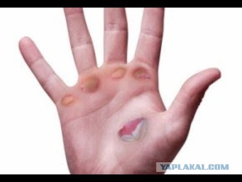 Почему не горят свечки из церкви в Гатчине: потому что макароны
