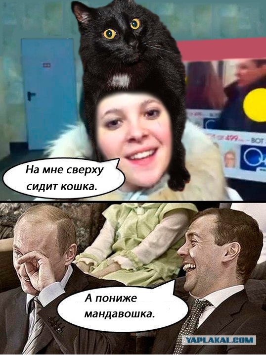 Эпичный кот