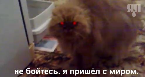 Странная Долли