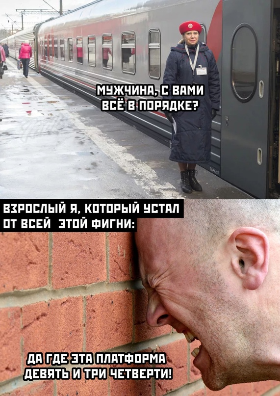 Весёлый полтишок 20.02
