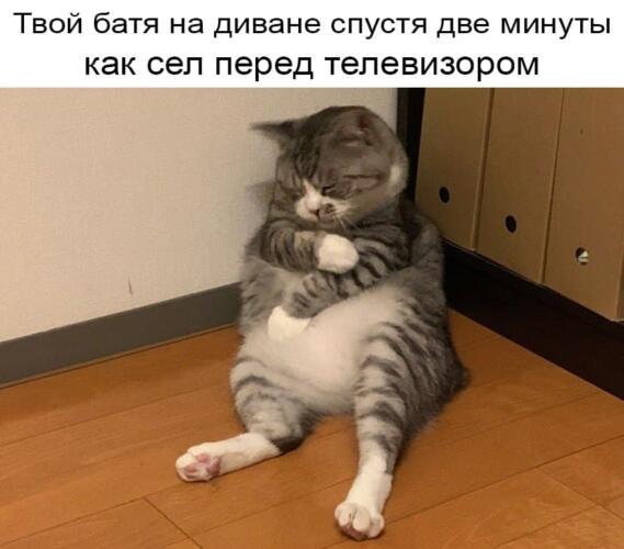Картинков вам в ленту. Показываю