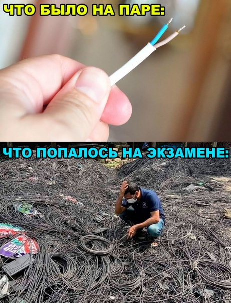 Весёлый полтишок 27.12