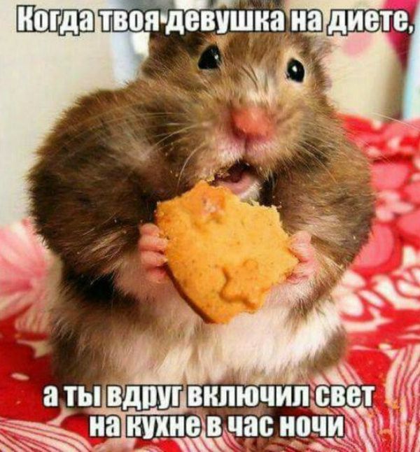 Картинки на 30.12.2021