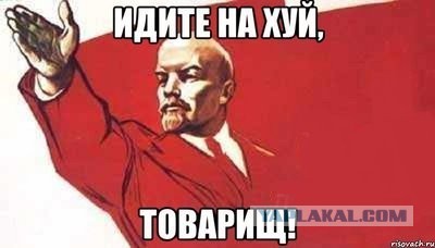 На Сахалине собака спасла девочку во время метели.
