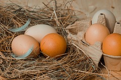 Яйца и мясо бройлеров подорожают из-за ограничений Россельхознадзора к концу января