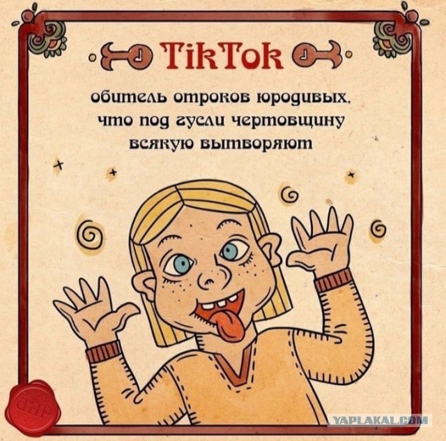 Предлагаю в ответ заблокировать TikTok в России навсегда