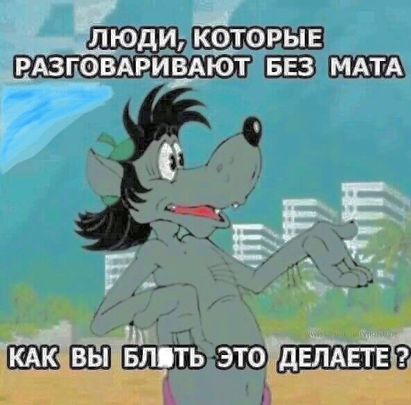 16566702.jpg