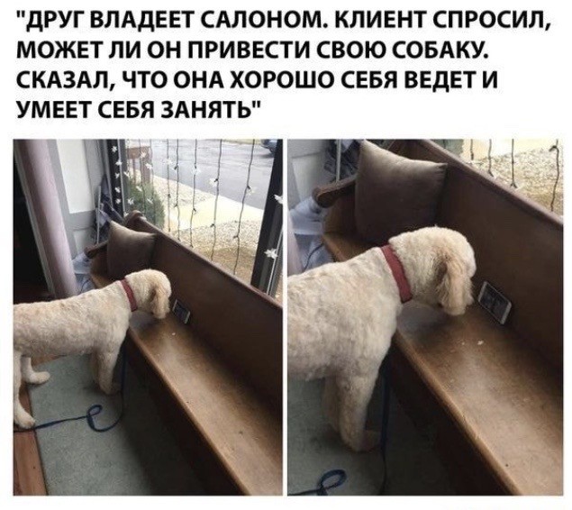 Так себе картинки 21.04.22