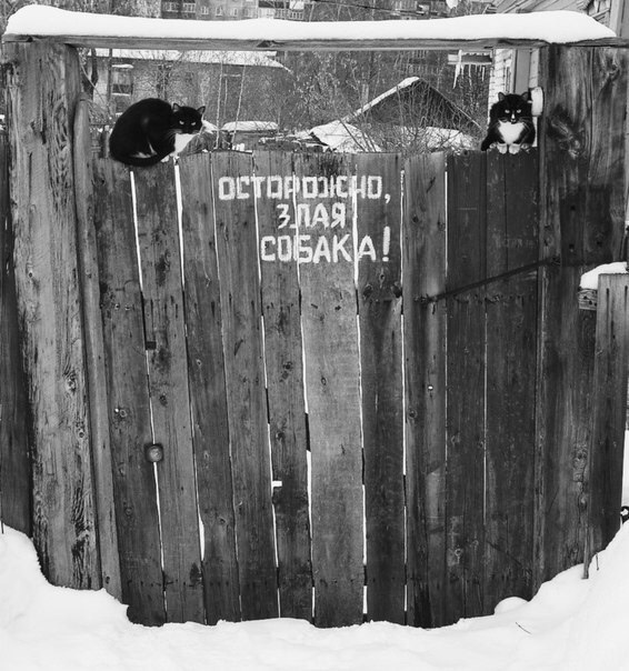 Калейдоскоп картинок