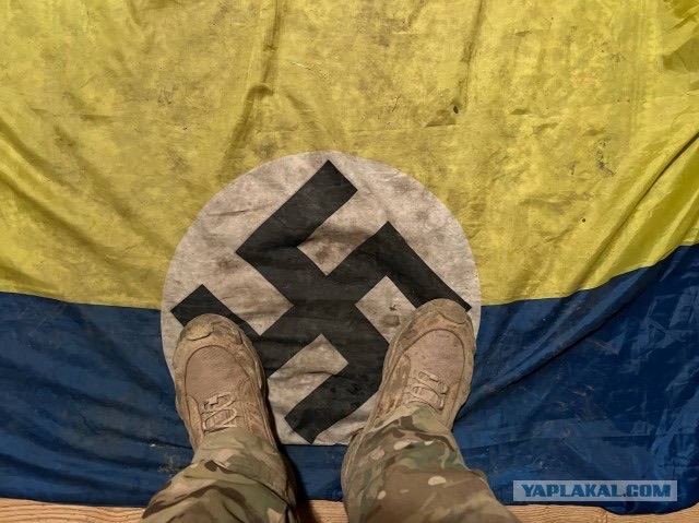 Россияне требуют мести