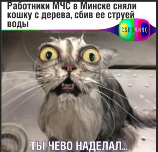Народная меДИЧина 12502