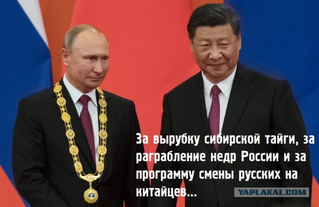 Почему на самом деле вымирает деревня? Мнение местного жителя