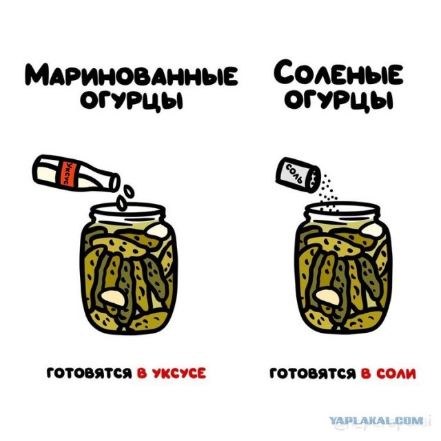 15 полезных рисунков, наглядно показывающих разницу вещей, которые мы то и дело путаем