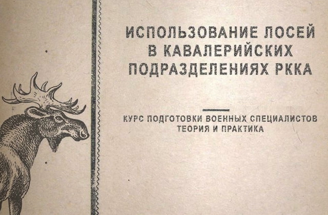 Объездка лося