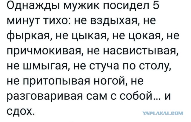 Всего понемногу. От 17.06.2024