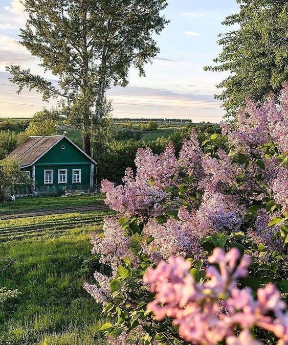 Прикольные и просто красивые картинки 21.06.2024