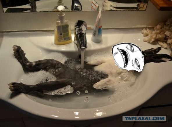 Плейбой  устал