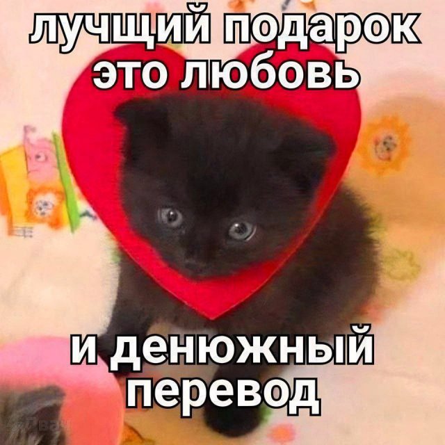 Весёлый полтишок 08.01.25