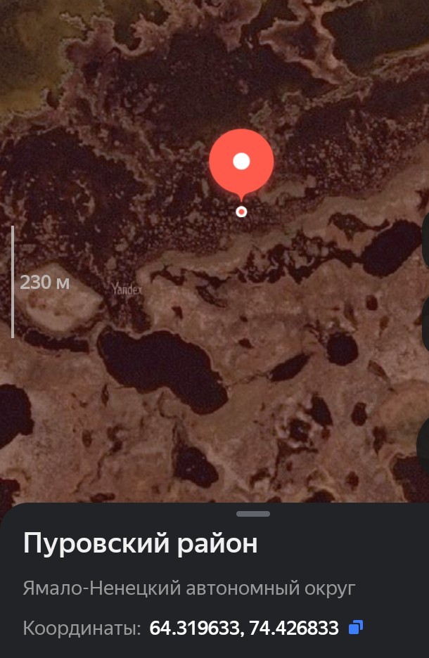 Поднять перископ!