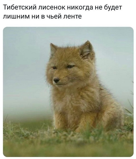 - Официант! У меня холодный суп!
