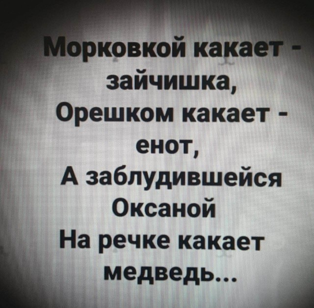 На Камчатке две подруги чуть было не сыграли в «Выжившего»: ими очень заинтересовался медведь и даже переплыл ради них реку