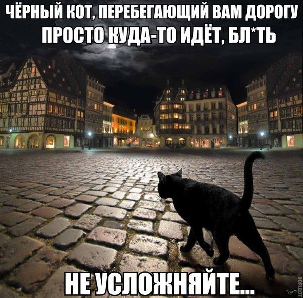 Большая подборка баянов разной степени свежести