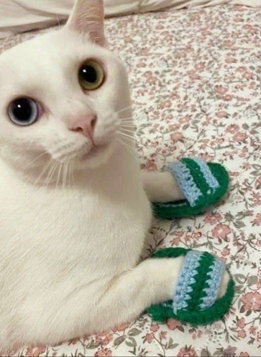 Так всякие картинки