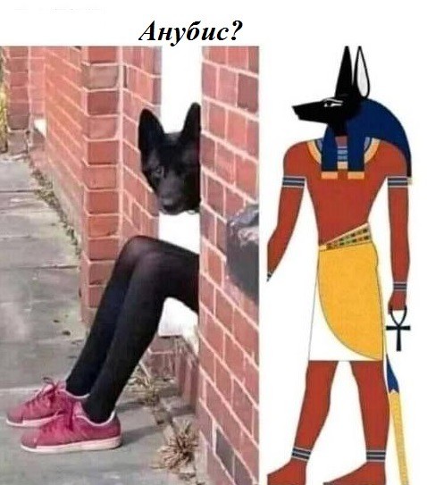 Веселое настроение в картинках 27.07.25