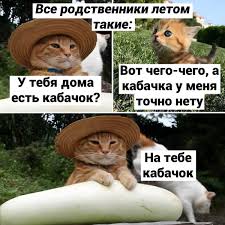 Мне пока тоже кабачка никто не дал