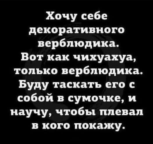 Веселые картинки в понедельник (11.08)