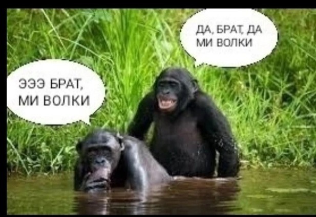 Лучший итог "горячих" понтов!