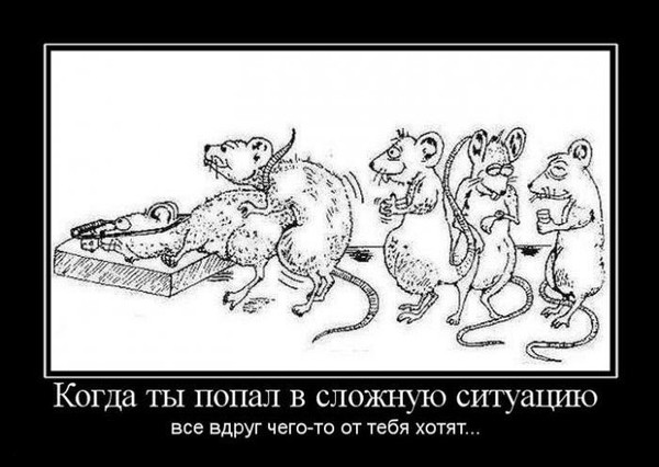 Покупатель квартиры Долиной заплатила налог на имущество